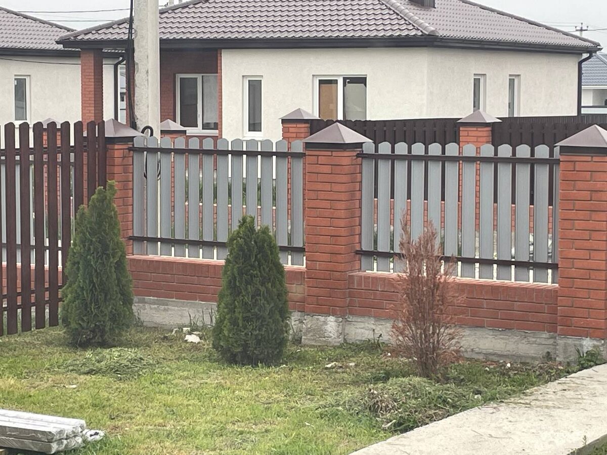 Фото автора: вот так туи выглядят сейчас, одной ну очень плохо