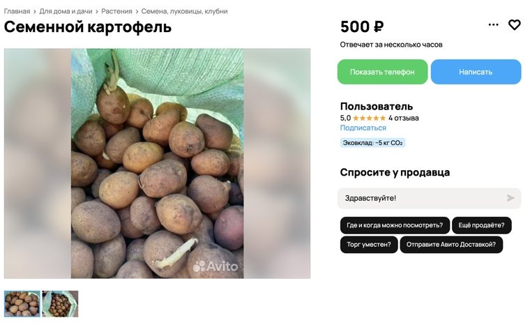 Семенной картофель можно купить через объявление. Фото: скрин с сайта «Авито» https://www.avito.ru/chelyabinskaya_oblast