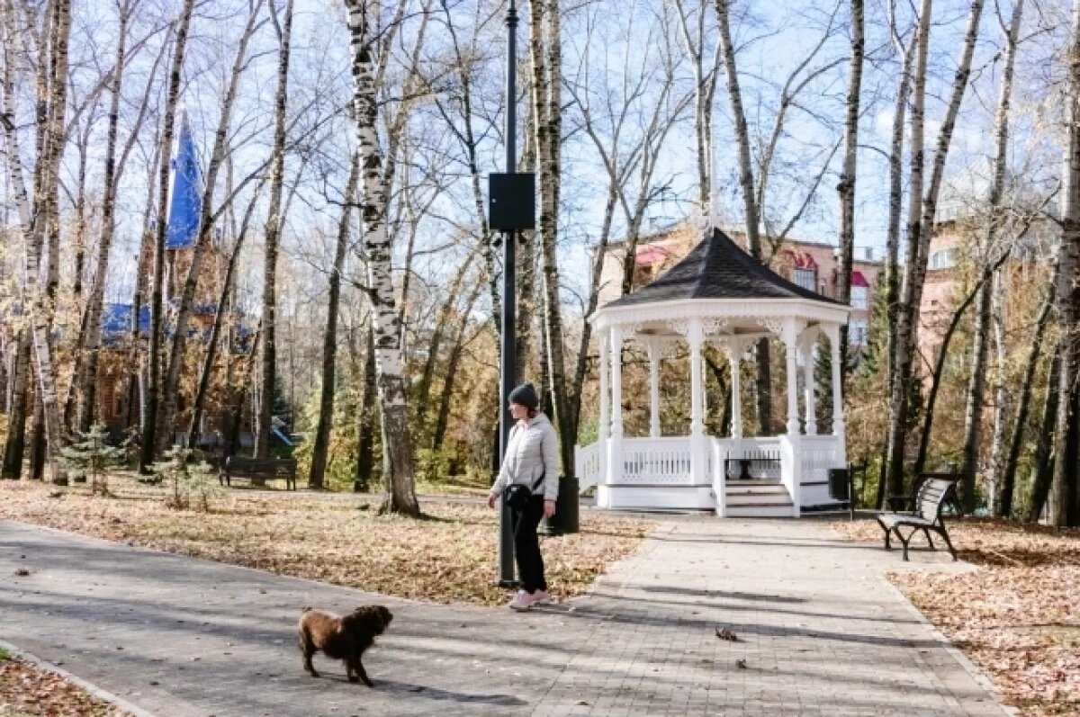    Владимир Мазур дал старт голосованию за объекты благоустройства в регионе