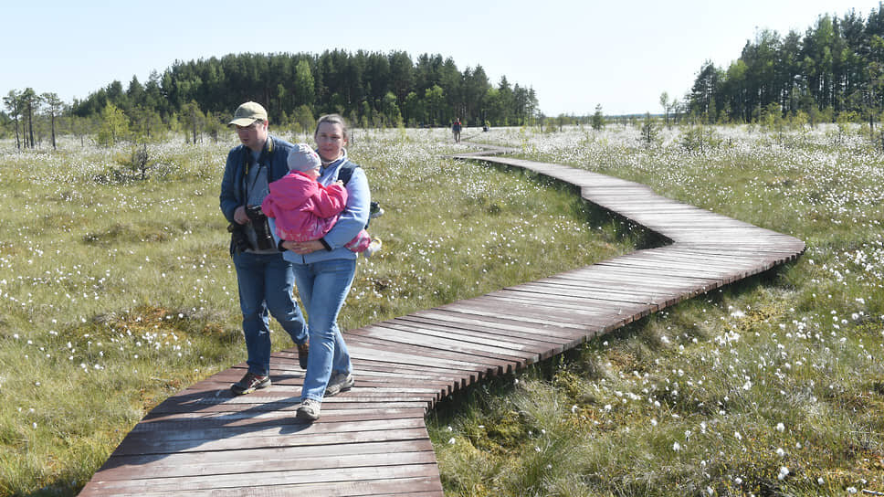 Фото: Александр Коряков / Коммерсантъ