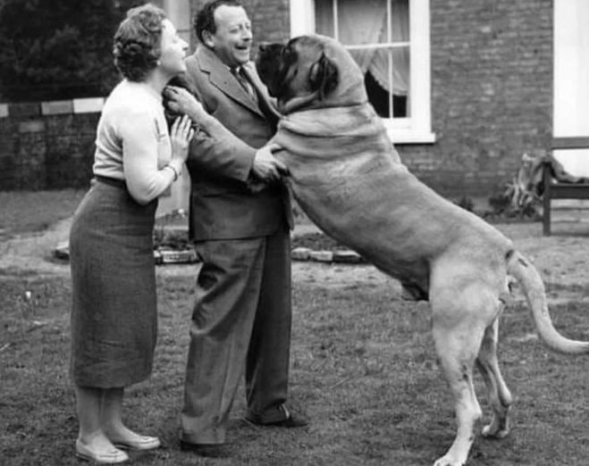 Фото из интернета 