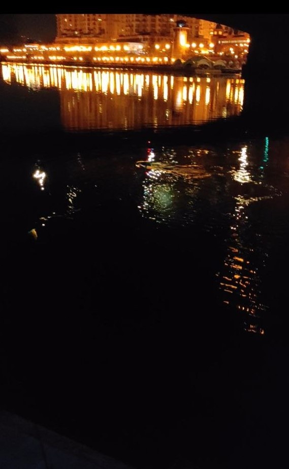 Рисунок 1 - Первый бобр, показавшийся нам в 0:30 ночи 7 мая. На этом фото он выглядит как черная комета с золотым хвостом.