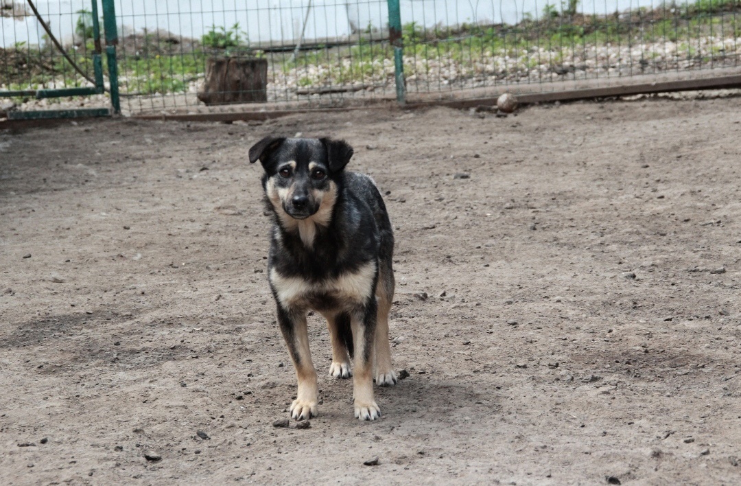 Я ж тогда не знала, что люди бывают добрыми