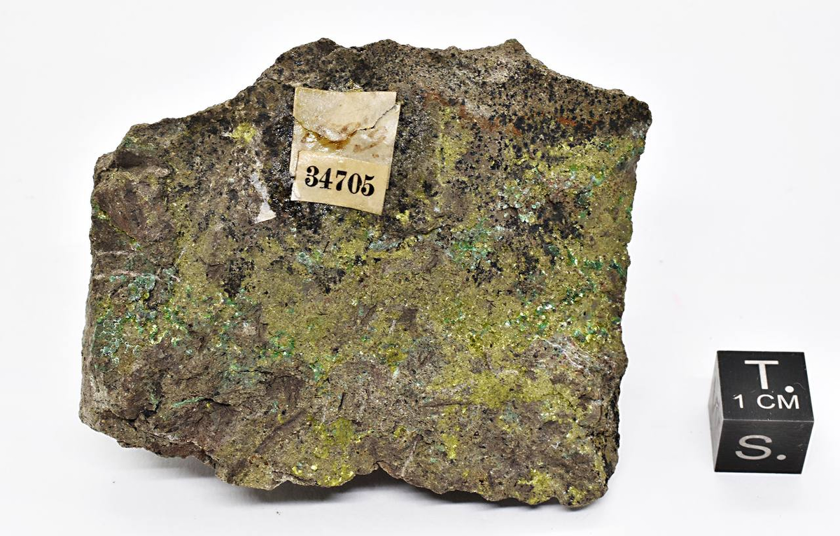 На фотографии изображен образец с зелёными выделениями фольбортита из Систематической коллекции Минералогического музея Ферсмана.