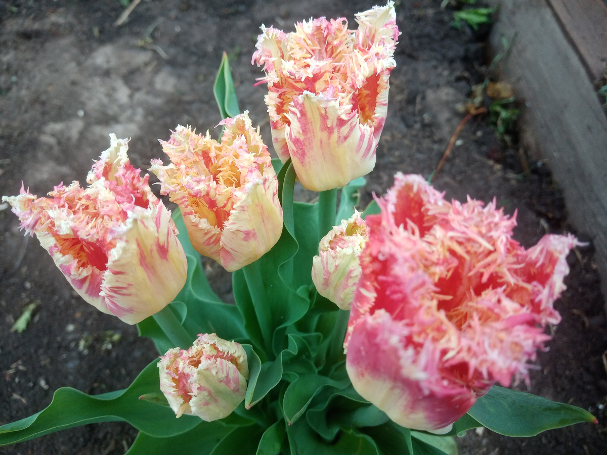 Фото автора. 