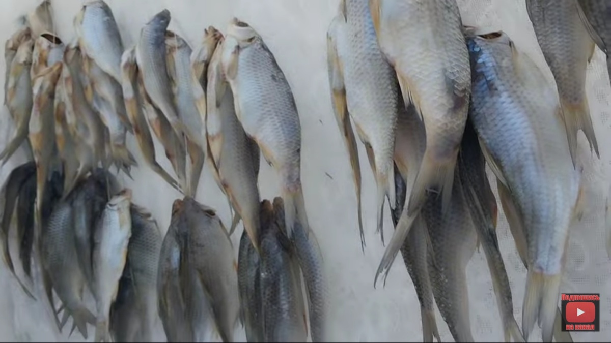 Фото из личного архива 