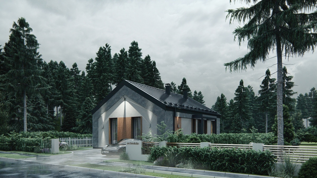 Перспектива Вид 1