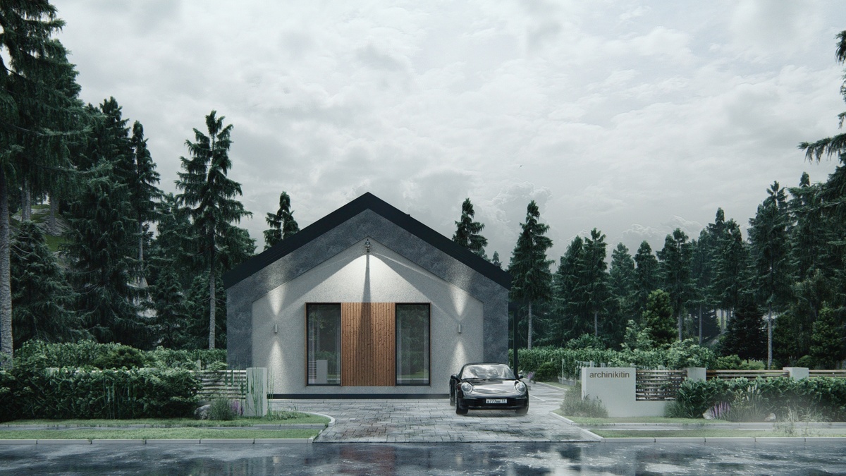 Перспектива Вид 2