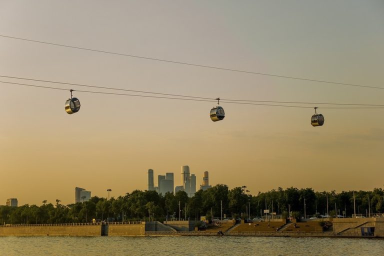    pixabay.ru\wiffalo Александра Горохова