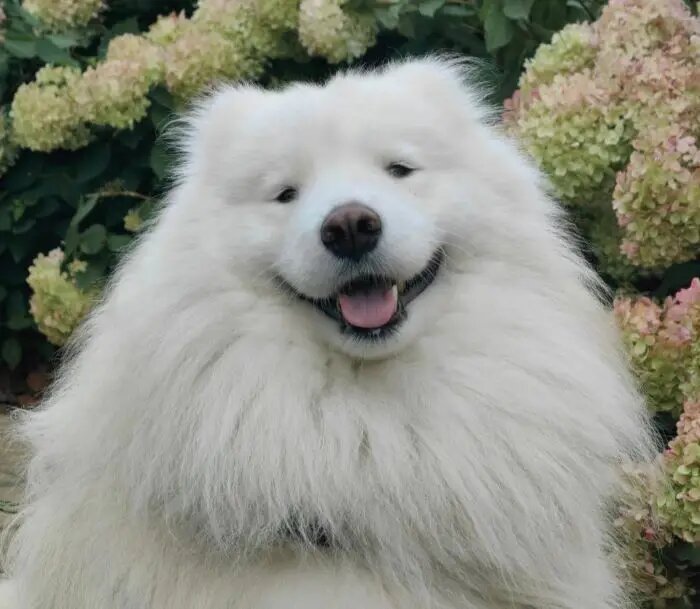     © Интерфакс. Наталья Пономарева