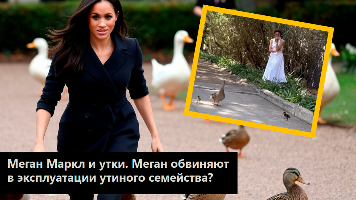 Коллаж автора