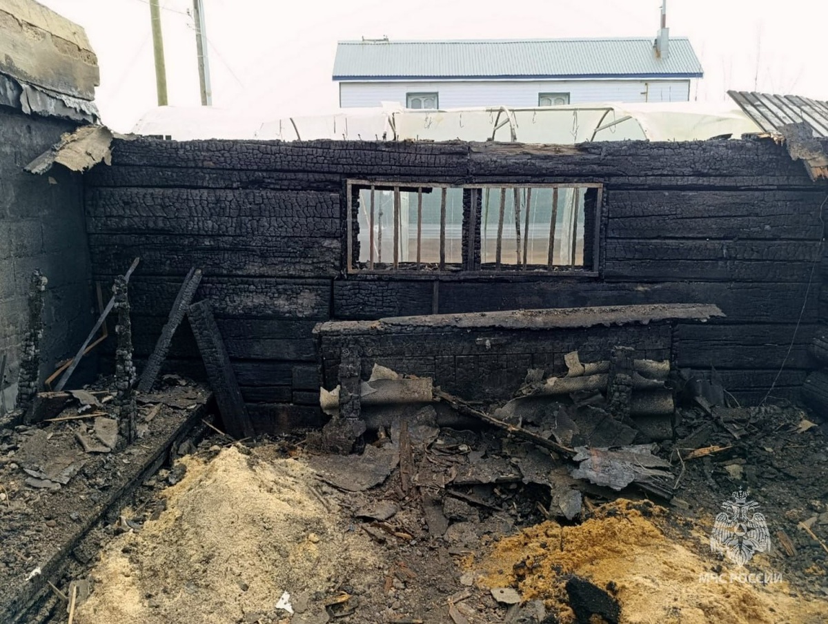 Фото: пресс-служба МЧС России по Челябинской области