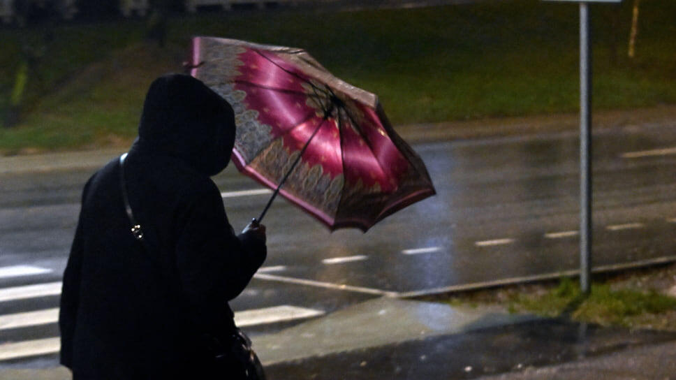 Фото: Анатолий Жданов / Коммерсантъ