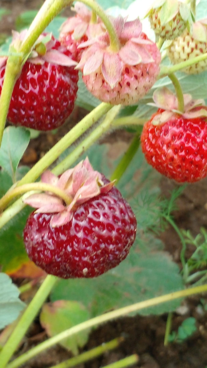 Фото автора 2024