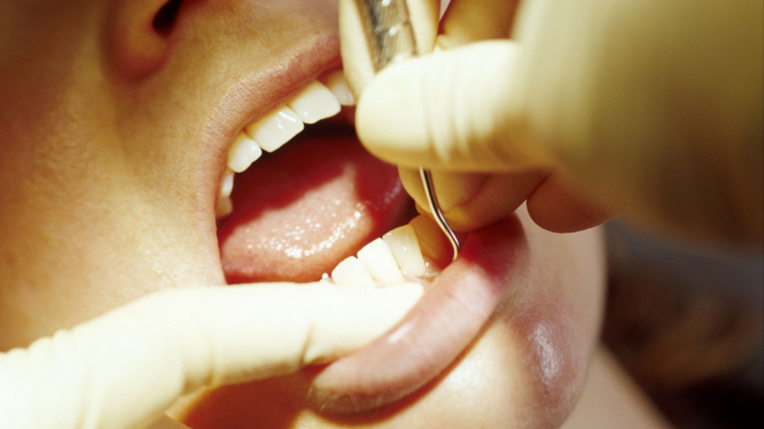    Фото: www.globallookpress.com