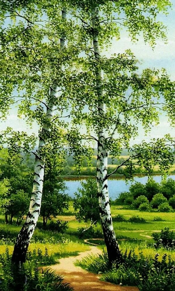 Фото из интернета