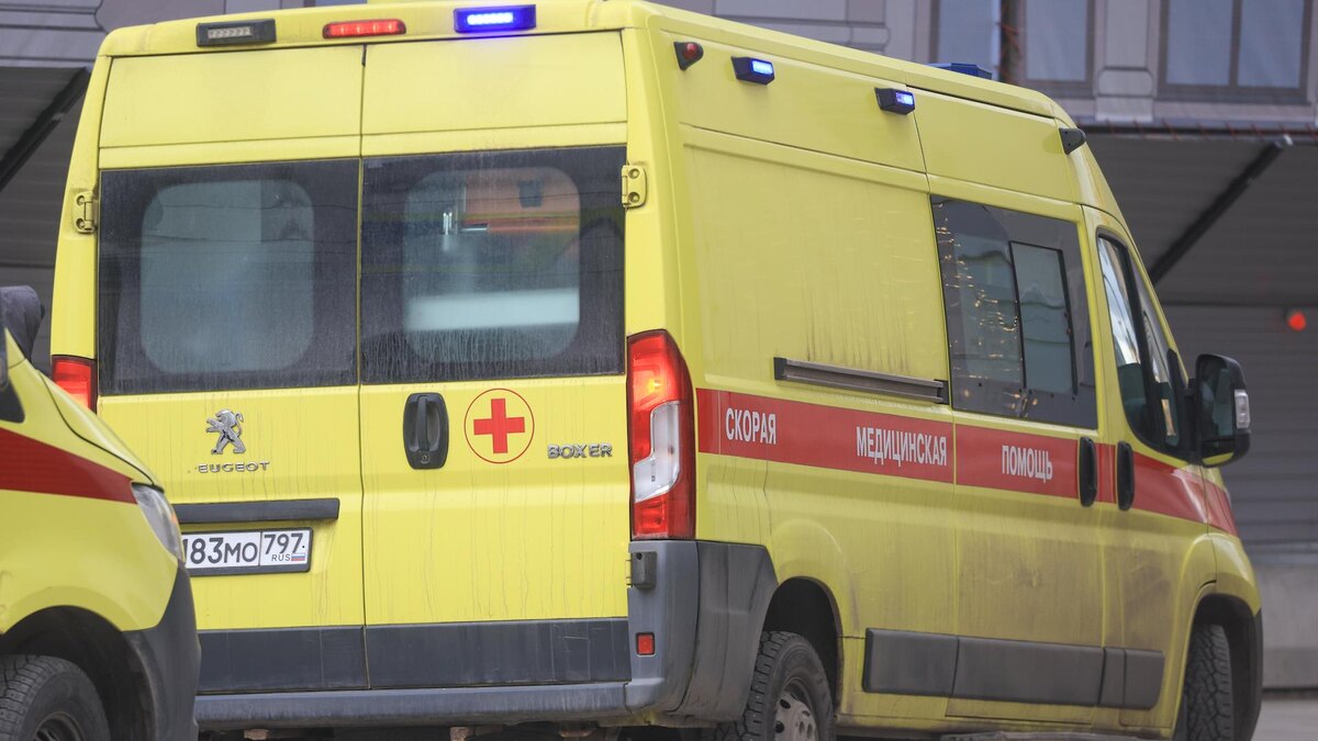    Фото: Shatokhina Natalia/news.ru/globallookpress.com