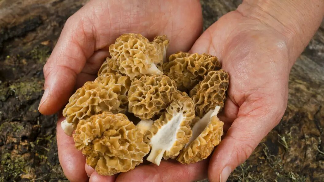    F. Hecker/imago stock&people/Globallookpress