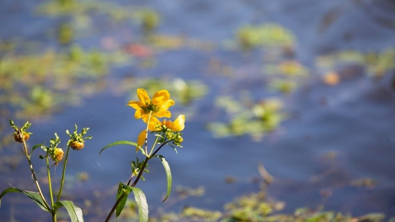 Фото: @EyeEm / freepik.com