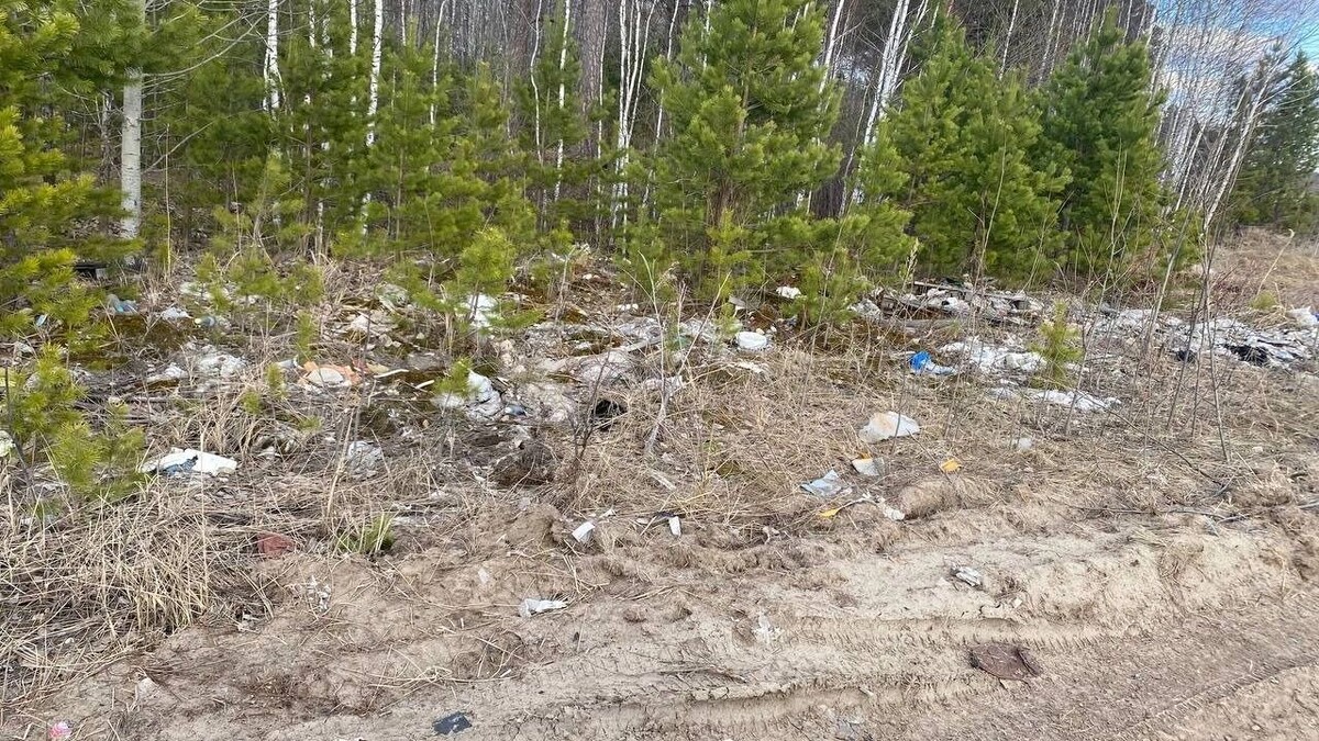     Источник: nashgorod.ru