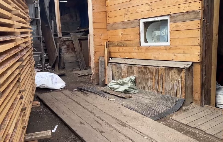    Стрингер/NEWS.ru