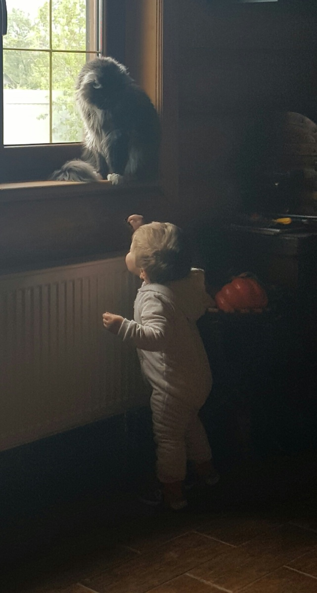 Бакарди понимает, что ребёнок ещё маленький 