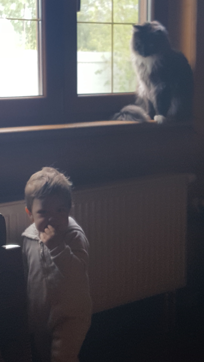 Оставил Бакарди в покое