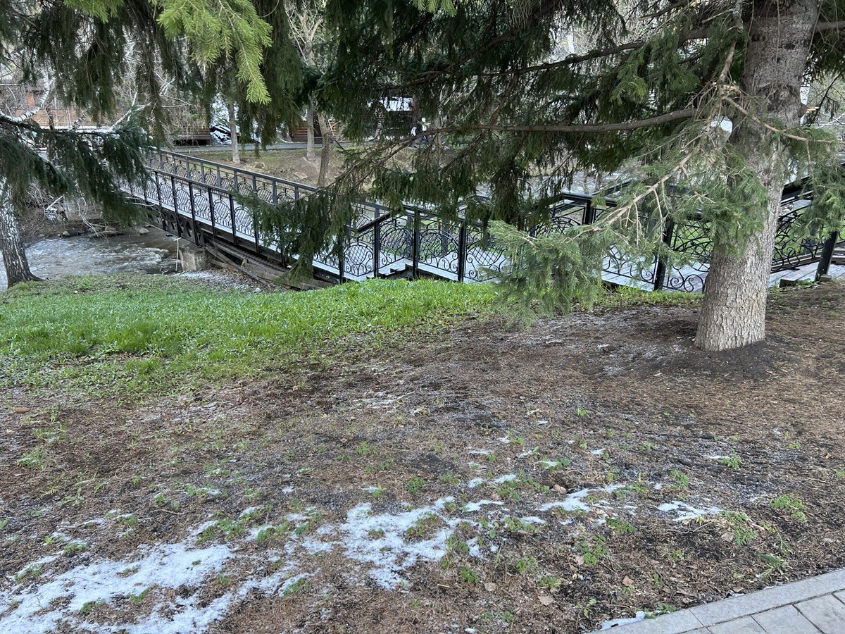 Автор фото: Терентьев Е. П.