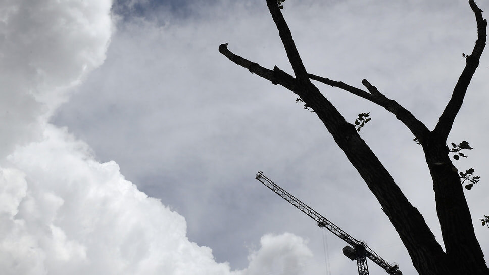 Фото: Дмитрий Духанин / Коммерсантъ