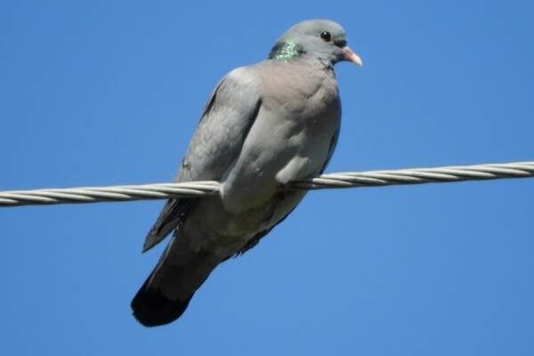    Фото: Валентина Ткачева