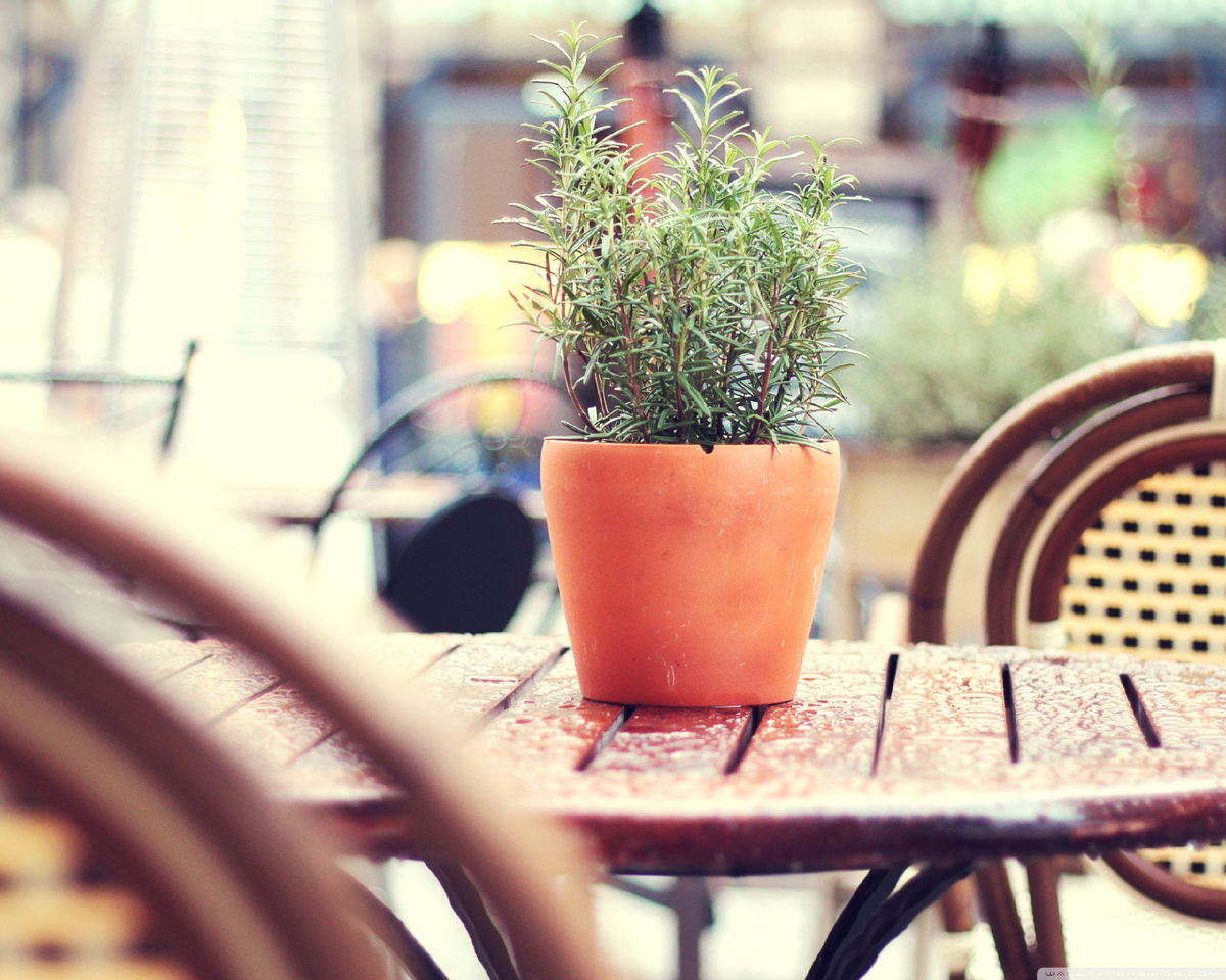 Фото из сети.