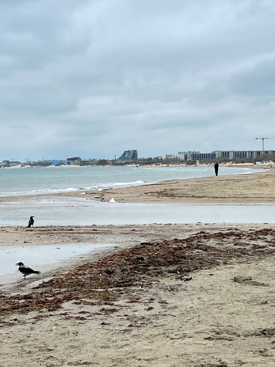 Район речки Анапки