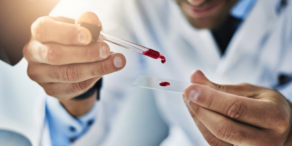 Источник: https://www.shutterstock.com/, @Yuri A