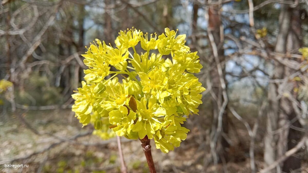 
📷
📷
📷
📷
📷
📷
📷
📷
