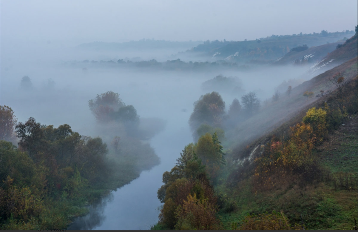 Из открытых источников. 