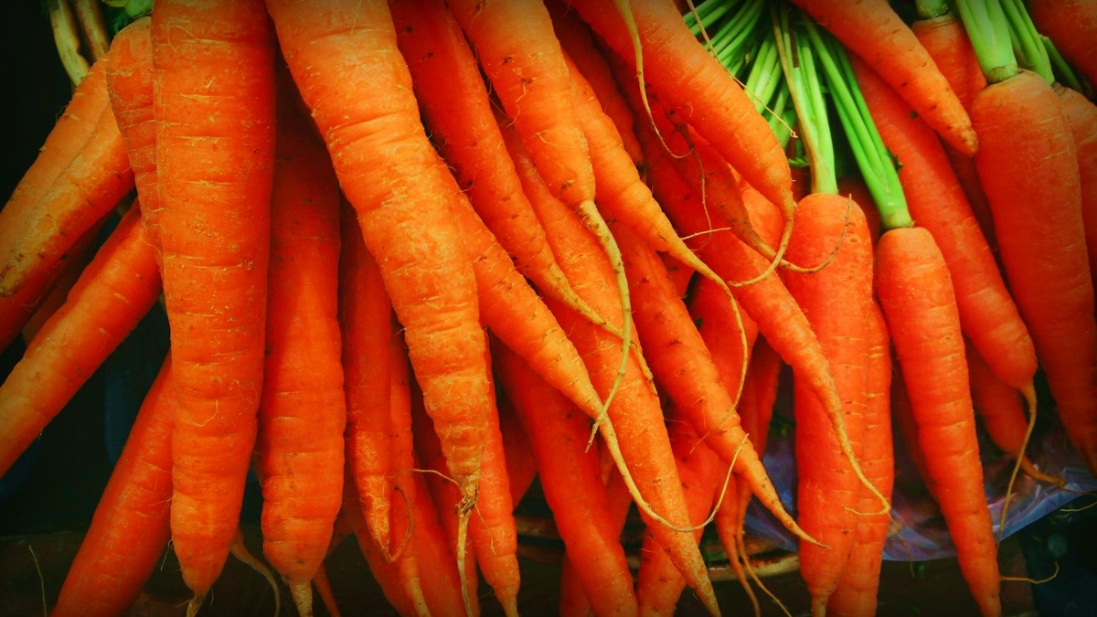 Морковь