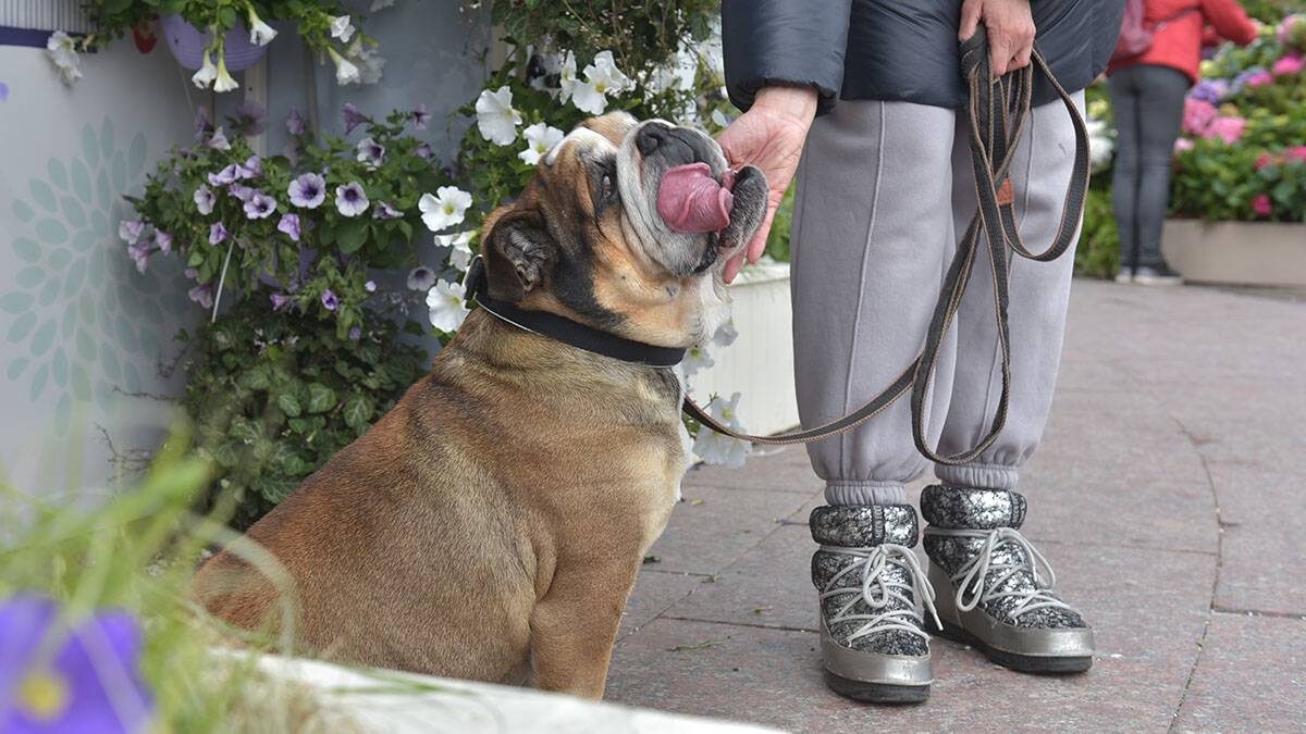    Фото: Наталья Феоктистова / Вечерняя Москва