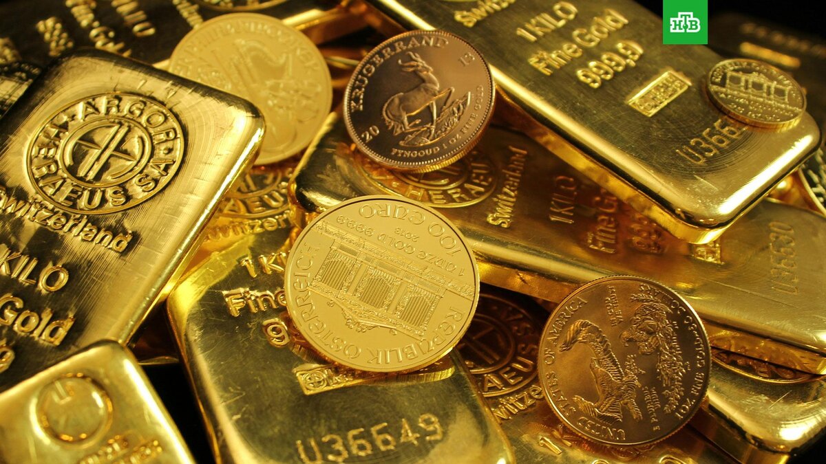    Фото: Zlataky.cz / unsplash.com