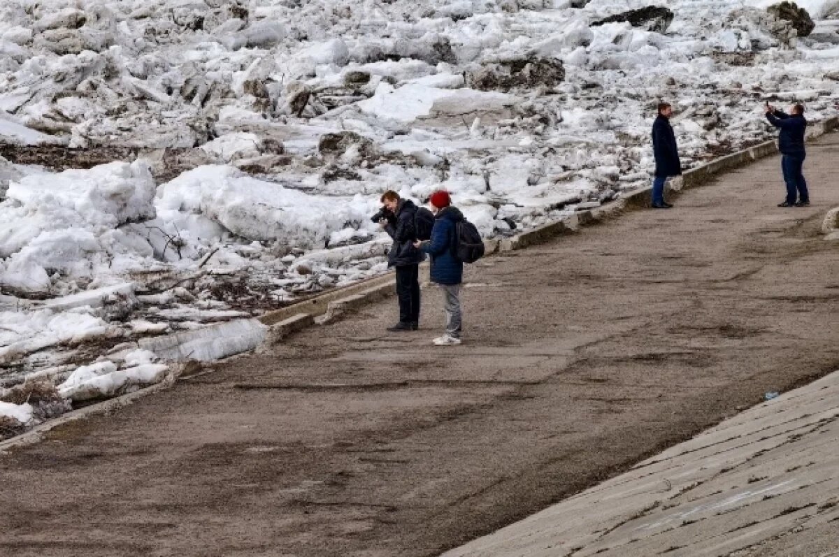    Лед на Оби в Томской области прошел за сутки 20 километров