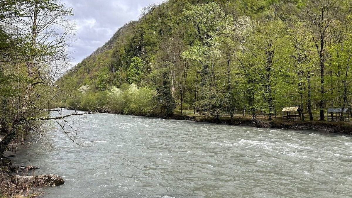    Фото: телеканал «Краснодар»