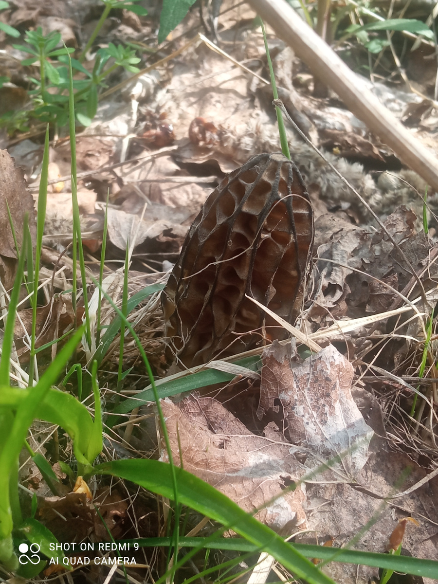 фото Татьяны Смирновой