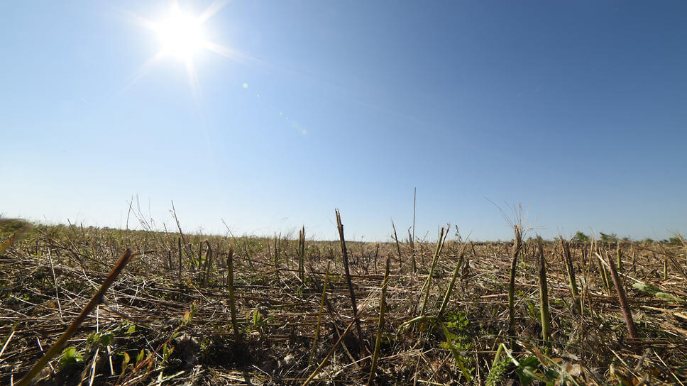 Фото: Олег Харсеев / Коммерсантъ