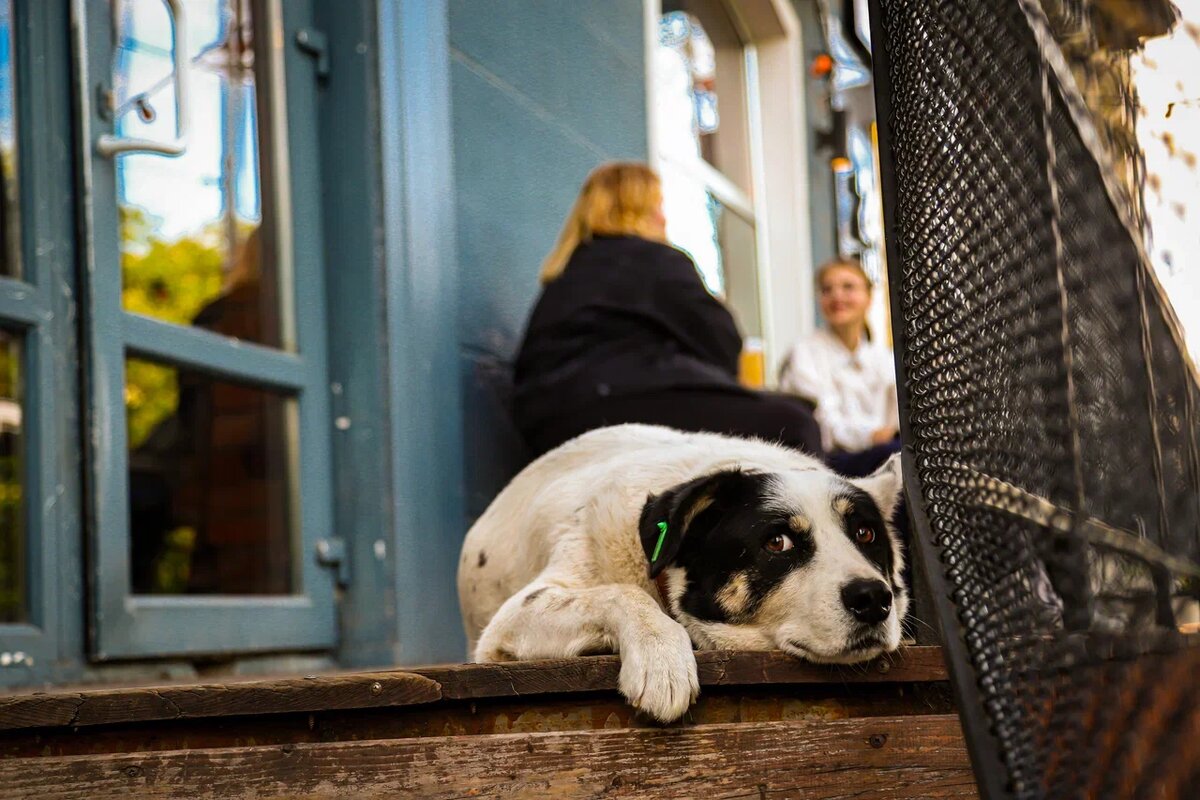 Фото: Варвара Вострокнутова