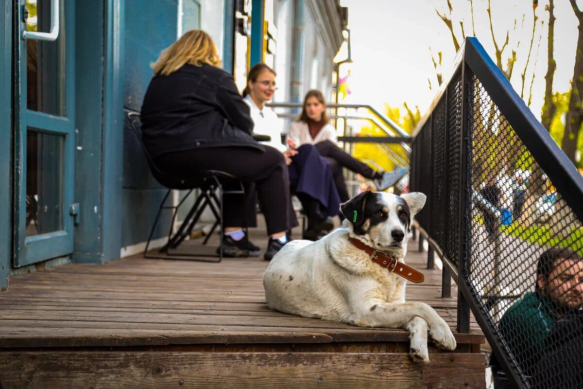 Фото: Варвара Вострокнутова
