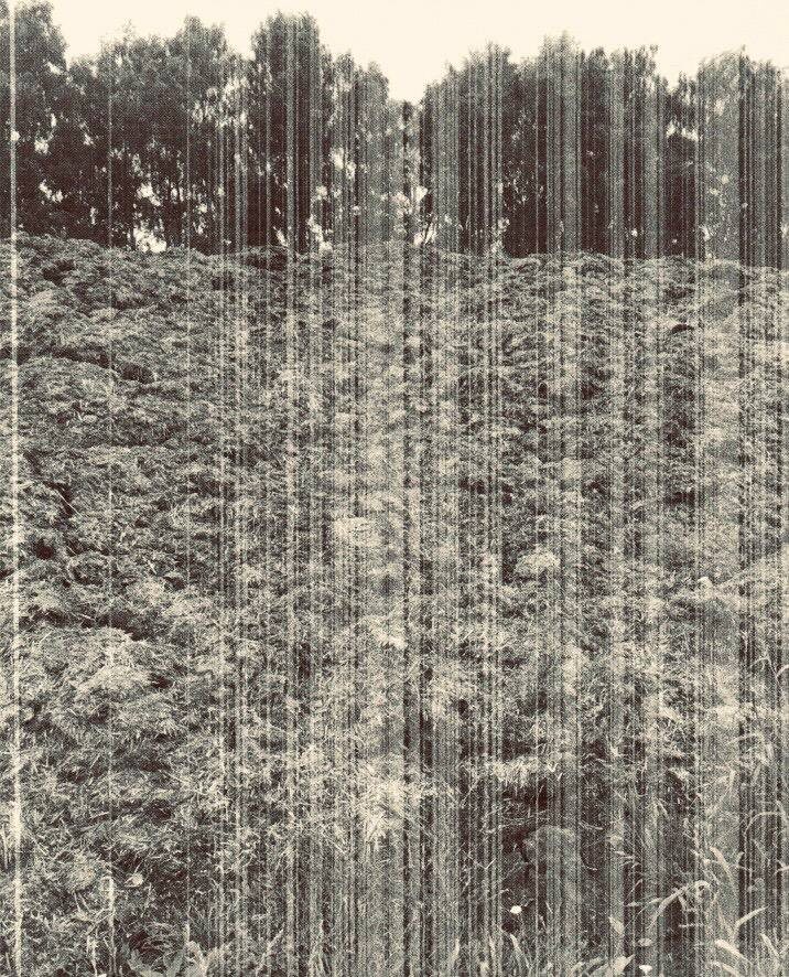 Фото: Прокуратура Курской области