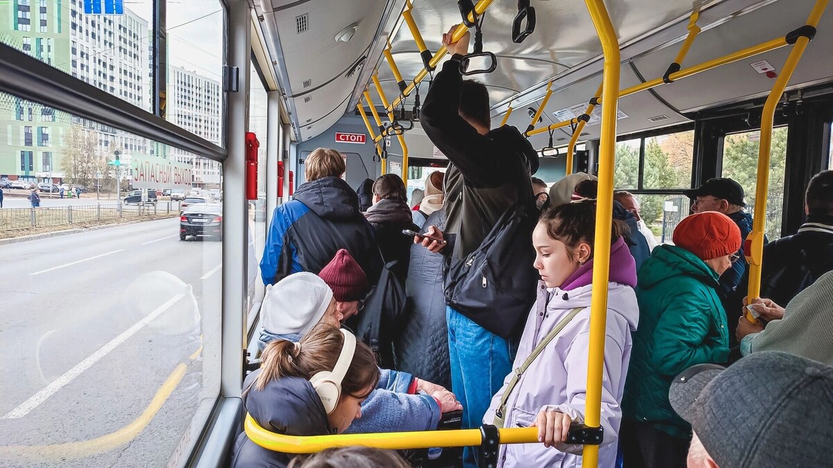     Источник: 1MI