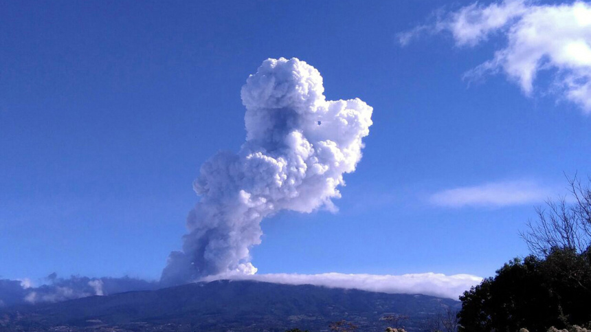    Фото: Zuma\TASS/ТАСС