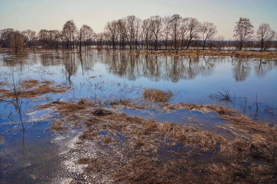 Фото: Яндекс фото
