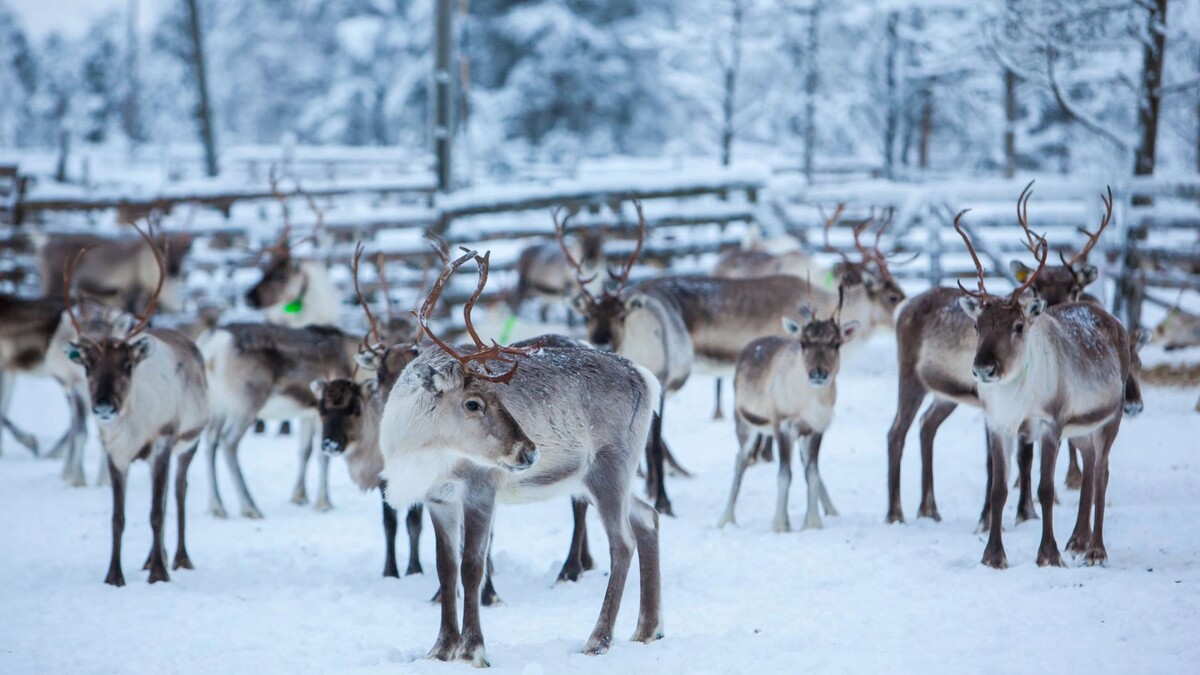    Фото: Andrei Kobylko/Shutterstock/Fotodom