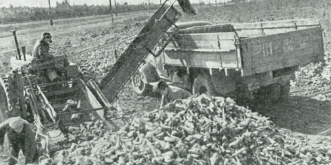 Деревня непокорных: за какой урожай 54-й колхоз им. В.И. Ленина закрыли, а жителей в 24 часа вывезли в другие области